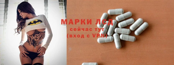 ГАЛЛЮЦИНОГЕННЫЕ ГРИБЫ Кулебаки